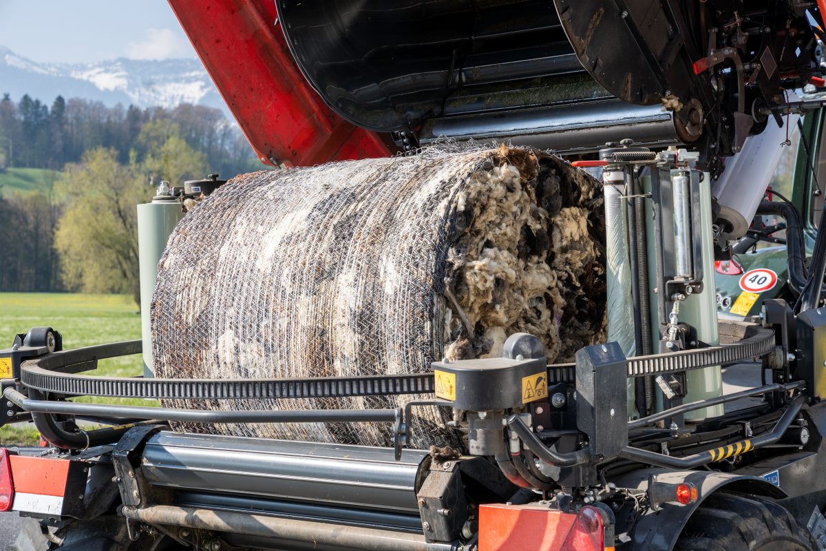 Schafbauern bringen ihre Wolle zur Weiterverarbeitung