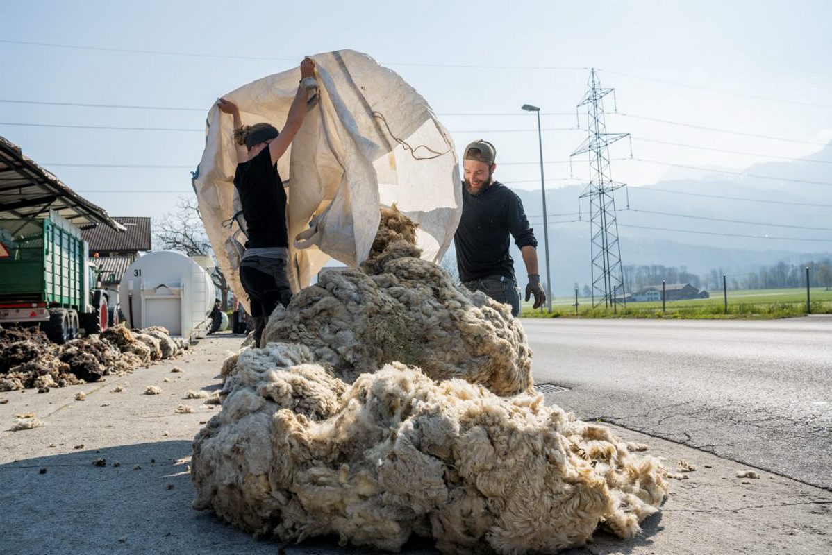 Schafbauern bringen ihre Wolle zur Weiterverarbeitung